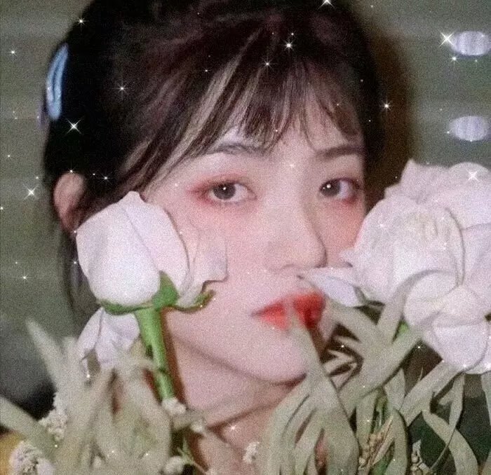 新浪潮